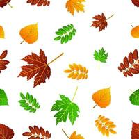 Multicolored autumn seamless pattern of autumn birch, maple leaves on a white background vector