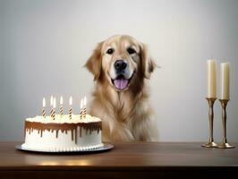 adorable perro posando con un cumpleaños pastel a un celebracion ai generativo foto