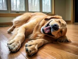 Content dog enjoying in the living room floor AI Generative photo