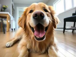 Content dog enjoying in the living room floor AI Generative photo