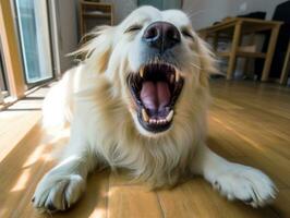 contenido perro disfrutando en el vivo habitación piso ai generativo foto