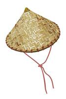 vietnamita tradicional sombrero. vector aislado ilustración