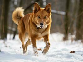 perro durante un invierno caminar ai generativo foto