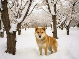 Dog during a winter walk AI Generative photo