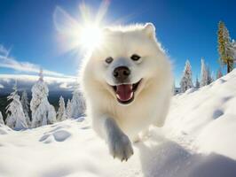 perro durante un invierno caminar ai generativo foto