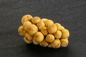 Tropical exotic sweet and juicy Longan photo