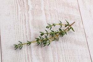 Aroma seasoning thyme stem with leaves photo