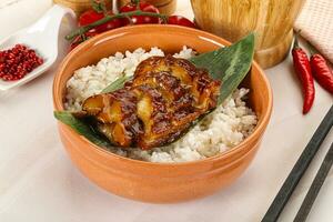 Grilled eel with steamed rice photo