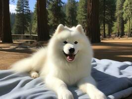Fluffy dog sitting on a colorful picnic blanket AI Generative photo