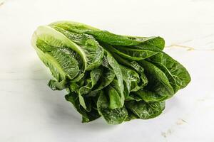 Green fresh juicy Romano salad photo