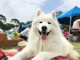 mullido perro sentado en un vistoso picnic cobija ai generativo foto