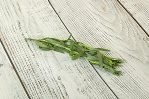 Green tarragon herb spice for cooking photo