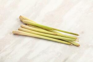 Green lemongrass stem aroma seasoning photo