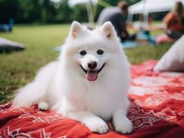 Fluffy dog sitting on a colorful picnic blanket AI Generative photo