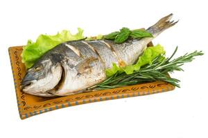 Grilled dorada isolated on white photo