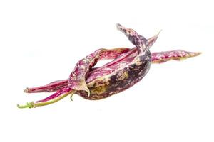 Red bean pod photo