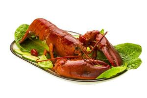 Large Lobster isolated on white photo