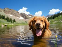 Friendly dog in a clear blue lake AI Generative photo
