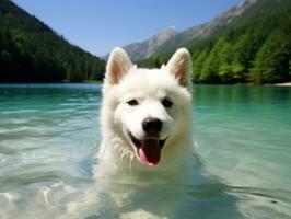 Friendly dog in a clear blue lake AI Generative photo