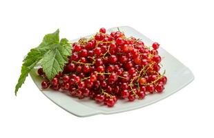 Red currant isolated on white photo