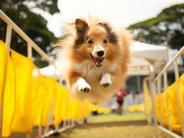 Spirited dog racing through an agility course AI Generative photo