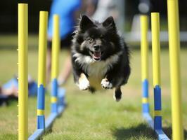 Spirited dog racing through an agility course AI Generative photo