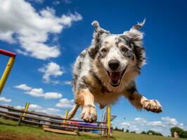 Spirited dog racing through an agility course AI Generative photo