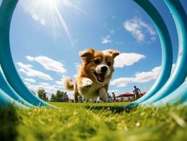 enérgico perro carreras mediante un agilidad curso ai generativo foto