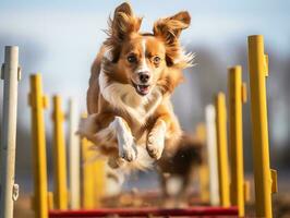 enérgico perro carreras mediante un agilidad curso ai generativo foto