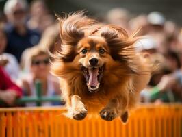 Spirited dog racing through an agility course AI Generative photo