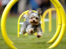 Spirited dog racing through an agility course AI Generative photo