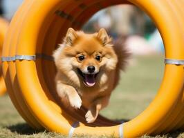 enérgico perro carreras mediante un agilidad curso ai generativo foto