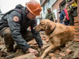 experto buscar y rescate perro trabajando diligentemente en un desastre zona ai generativo foto