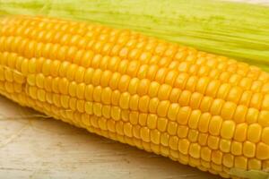 Corn over wooden photo