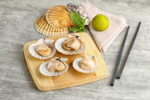 Raw natural scallop in its shell photo