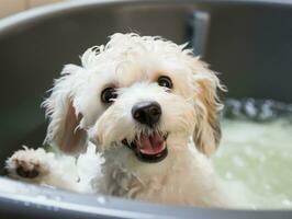 sereno perro disfrutando un masaje a un mascota spa ai generativo foto