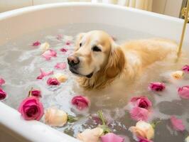 sereno perro disfrutando un masaje a un mascota spa ai generativo foto