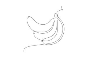 Continuous one line drawing of banana fruit isolated on white background. vector