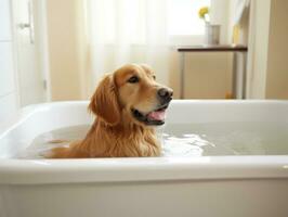 sereno perro disfrutando un masaje a un mascota spa ai generativo foto