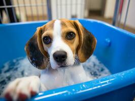 Serene dog enjoying a massage at a pet spa AI Generative photo
