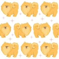 Cute Pomeranian Spitz dog, seamless vector pattern.