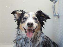 Serene dog enjoying a massage at a pet spa AI Generative photo