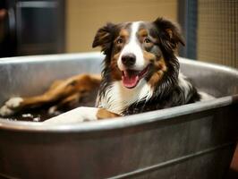 Serene dog enjoying a massage at a pet spa AI Generative photo