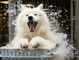 sereno perro disfrutando un masaje a un mascota spa ai generativo foto