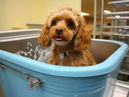 sereno perro disfrutando un masaje a un mascota spa ai generativo foto