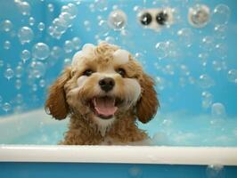 sereno perro disfrutando un masaje a un mascota spa ai generativo foto