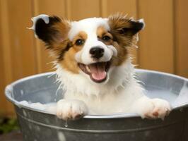 sereno perro disfrutando un masaje a un mascota spa ai generativo foto