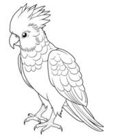 cockatoo coloring page for kids vector