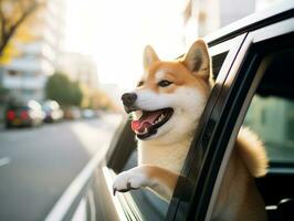 Happy dog riding in a car with its head out the window AI Generative photo