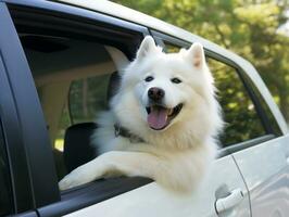 Happy dog riding in a car with its head out the window AI Generative photo